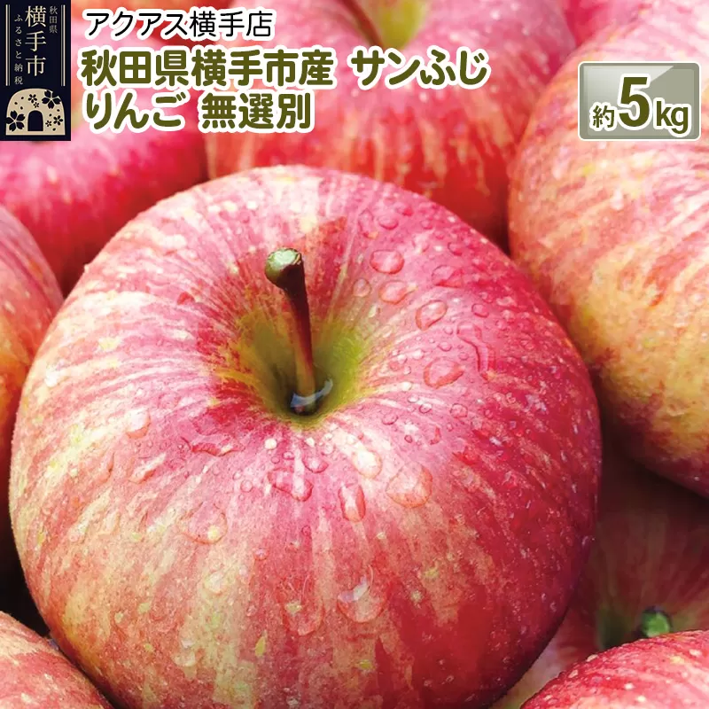 秋田県横手市産 サンふじ りんご 無選別 約5kg 横手市