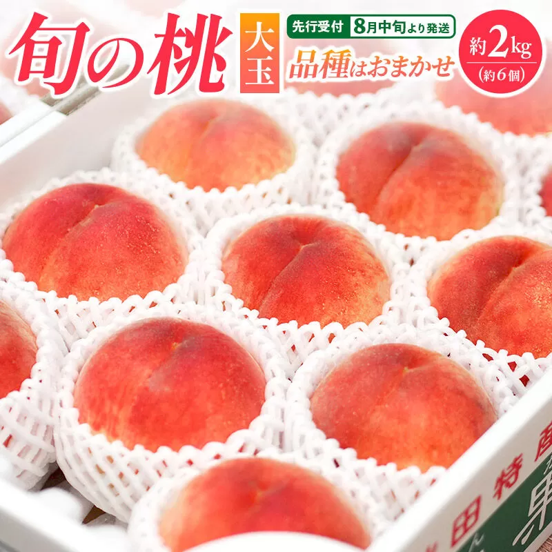 ＜先行受付 8月中旬より発送＞横手産の桃（大玉）約2kg（6個入） [先行予約 秋田県 横手市 桃 もも モモ 果物 フルーツ] 秋田県横手市