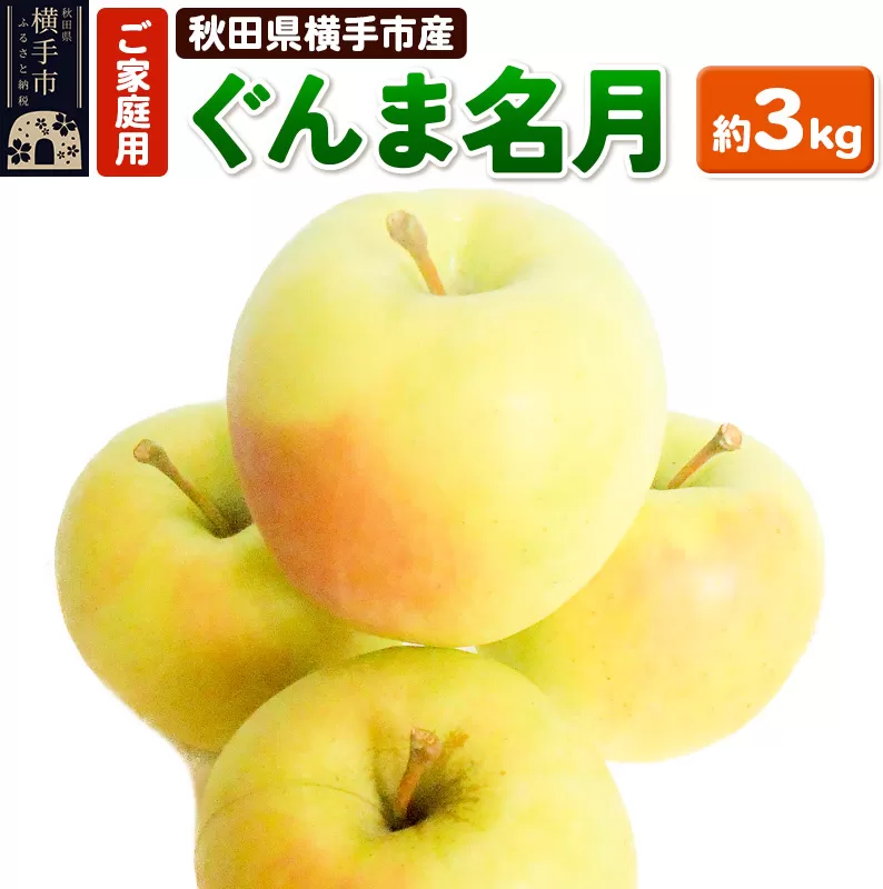 11月上旬より発送 希少品種!秋田県横手産 りんご ぐんま名月 ご家庭用 約3kg 秋田県横手市