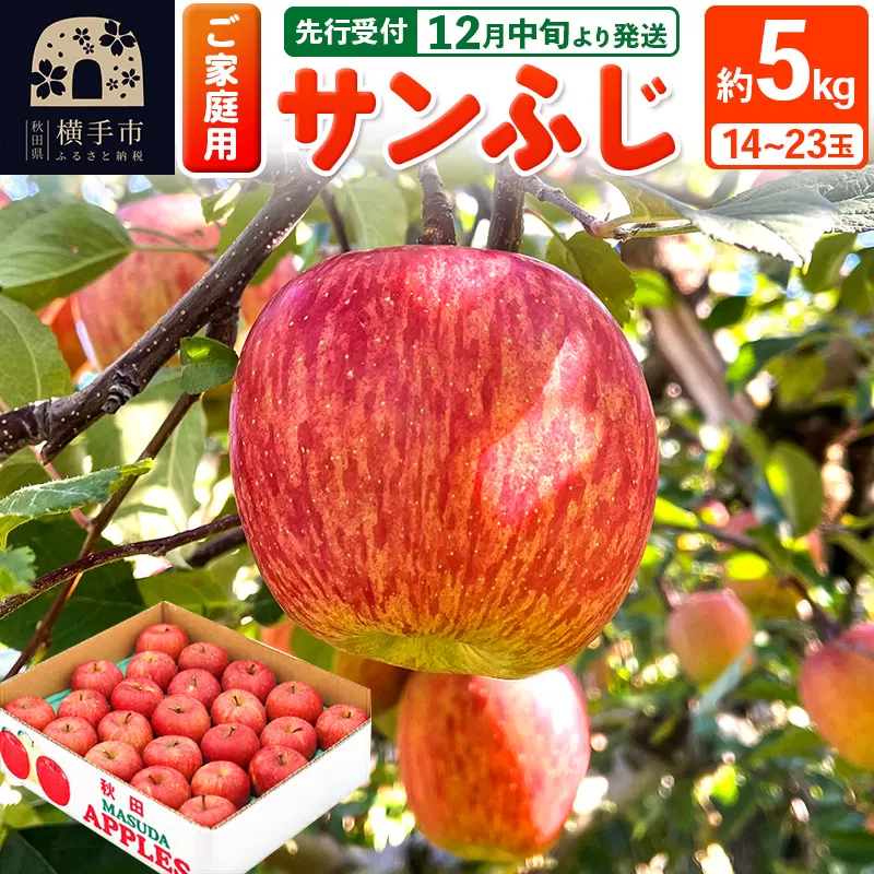 【先行受付】12月中旬より発送 サンふじ 【ご家庭用】約5kg（14〜23玉）りんご 林檎