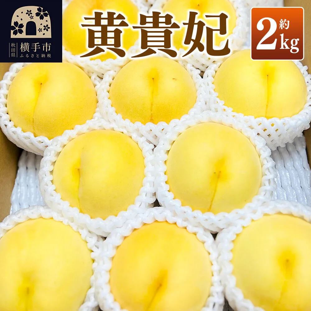 【先行受付】9月上旬より発送 黄貴妃 約2kg（6〜9玉前後）モモ もも 黄色桃 [先行予約 もも モモ 黄桃 黄色桃 果物 フルーツ 横手産 秋田産 秋田県産] 秋田県横手市
