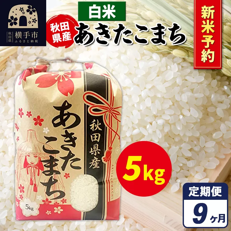 《令和7年産 新米受付》《定期便9ヶ月》あきたこまち 5kg【白米】秋田県産 こまちライン 横手市