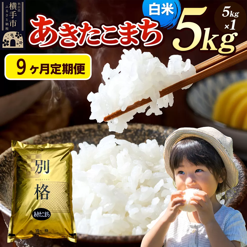 《令和7年産》《定期便9ヶ月》 米 あきたこまち 5kg 【白米】 秋田県産 秋田県横手市