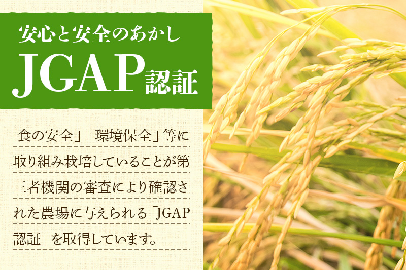 玄米】令和6年産 秋田県産 あきたこまち 30kg(30kg×1袋) 【JGAP 玄米】令和6年産 秋田県産 あきたこまち 30kg(30kg×1袋) 【JGAP