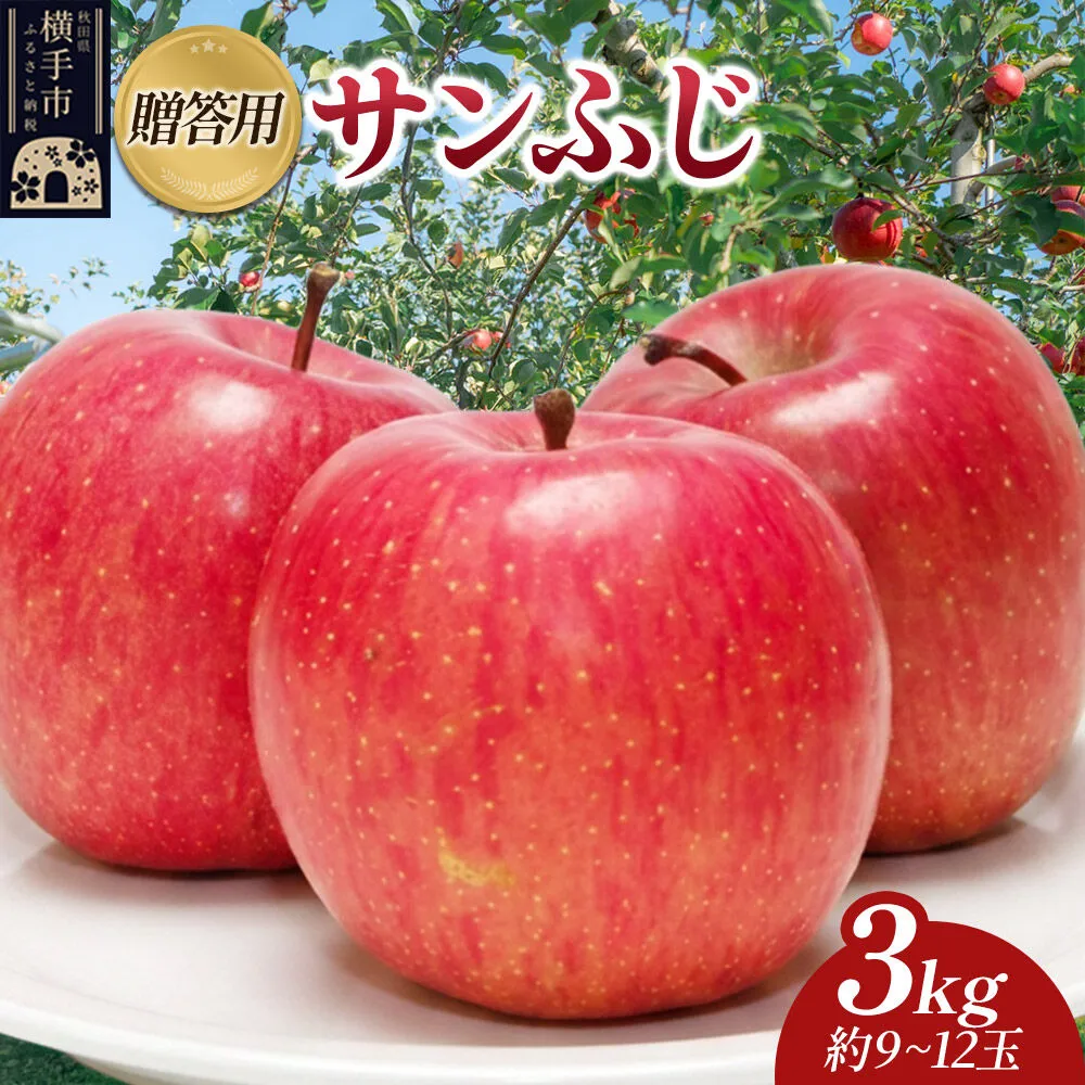 【先行受付】12月上旬より発送 樹上完熟りんご（サンふじ）贈答用 約3kg（約9〜12玉） 喜三郎農園 [先行予約 秋田県 横手市 林檎 リンゴ りんご 果物 フルーツ 贈答用] 秋田県横手市