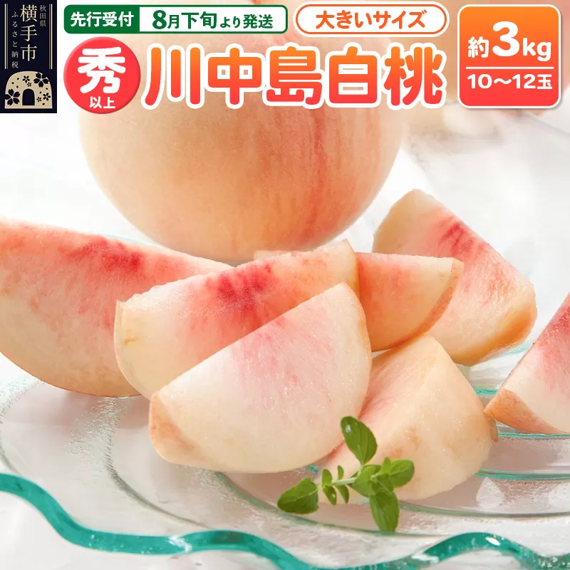 【先行受付】8月下旬より発送 横手市増田産の桃 川中島白桃 約3kg 秀以上 10〜12玉 大きいサイズ 横手市