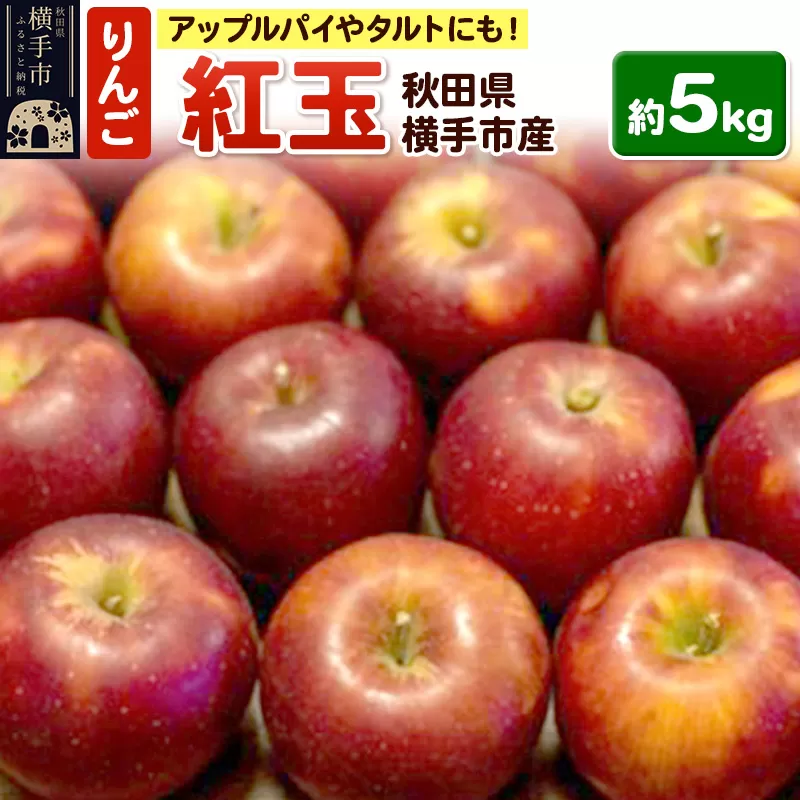 アップルパイやタルトにも！横手市産りんご(紅玉)　約5kg