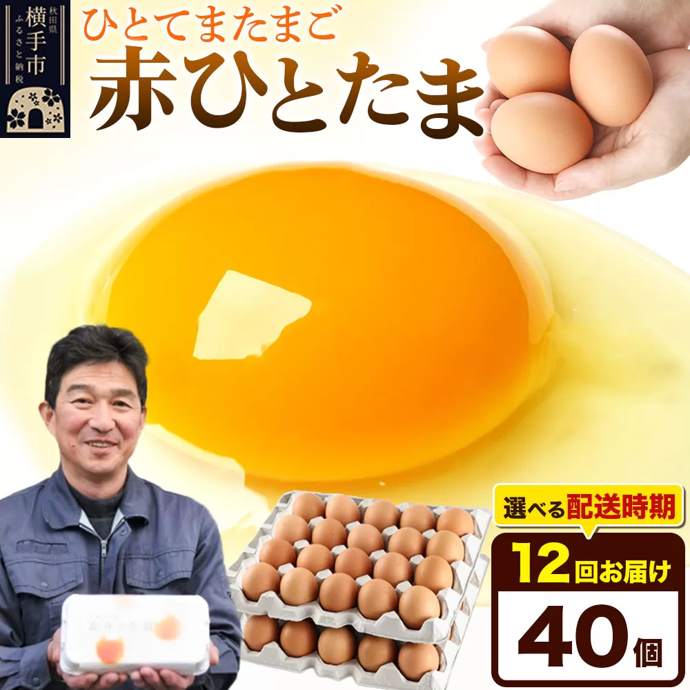 【常温発送】《定期便12ヶ月》赤ひとたま 40個（業務用）【発送時期が選べる】東海林養鶏場 赤ひとたま 卵 玉子 たまご タマゴ 12か月 12ヵ月 12カ月 12ケ月 開始時期選べる