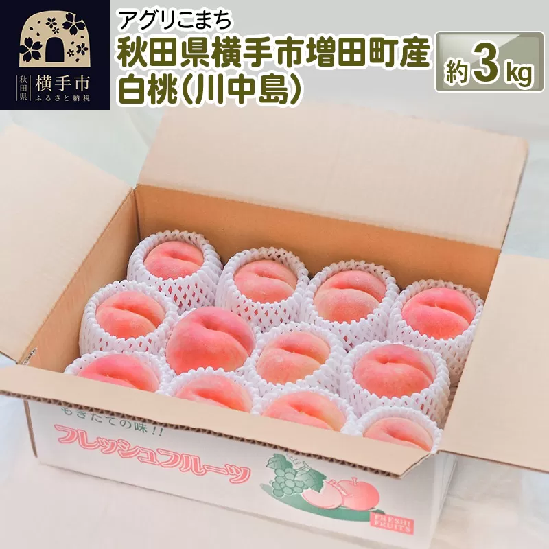 秋田県横手市増田町産 白桃（川中島） 約3kg 横手市