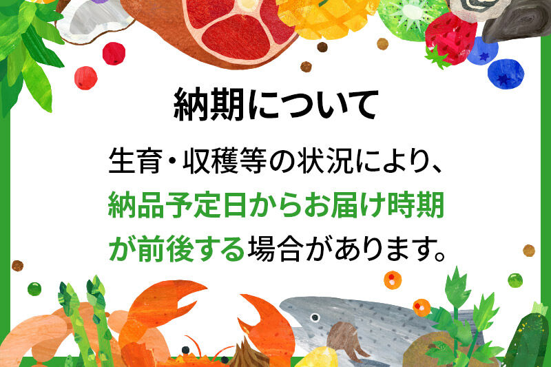 令和8年産 新米受付》米 あきたこまち 30kg（5kg×6袋） 【無洗米