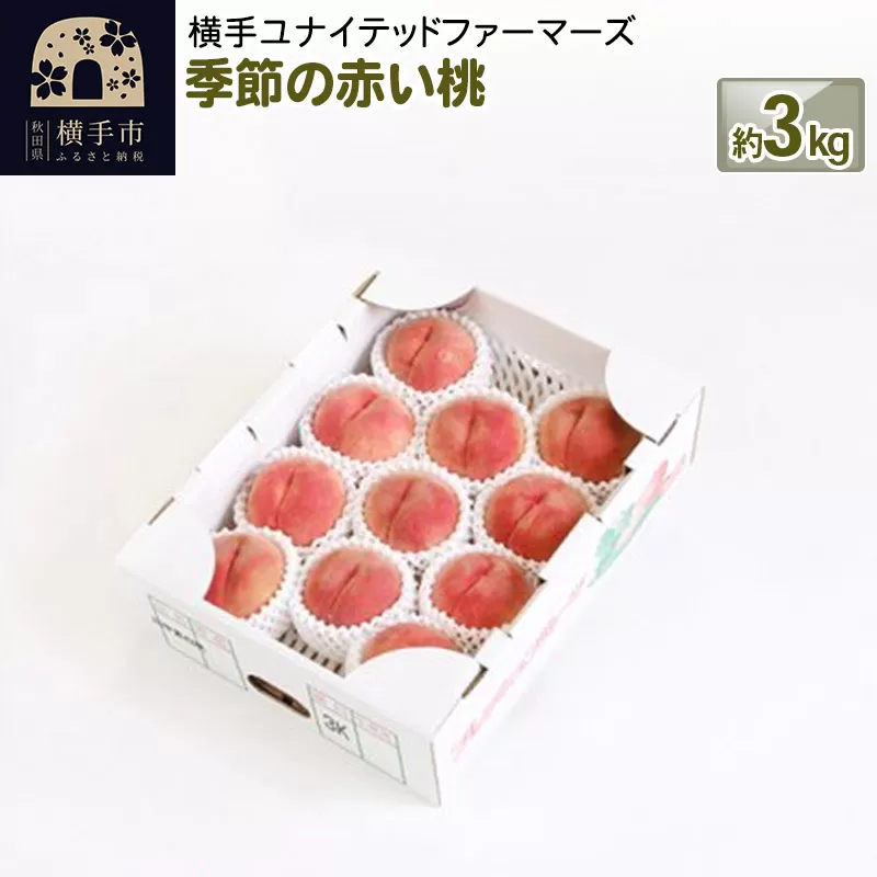 季節の赤い桃 約3kg 横手市