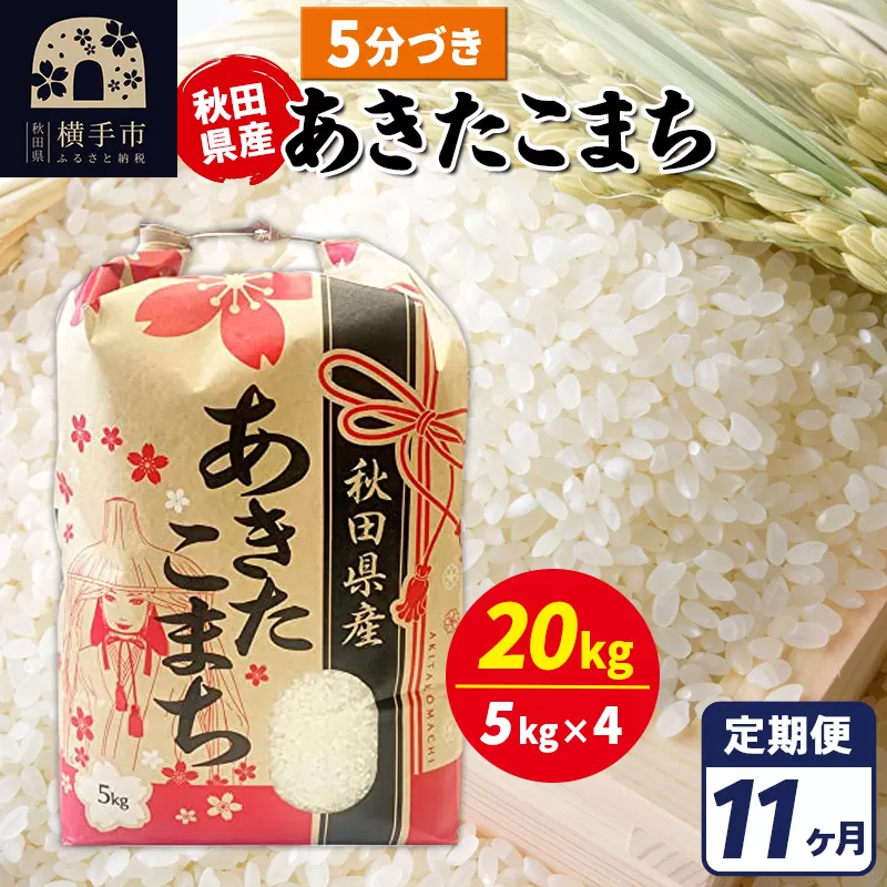 《定期便11ヶ月》あきたこまち 20kg【5分づき】令和7年産 秋田県産 こまちライン 秋田県横手市