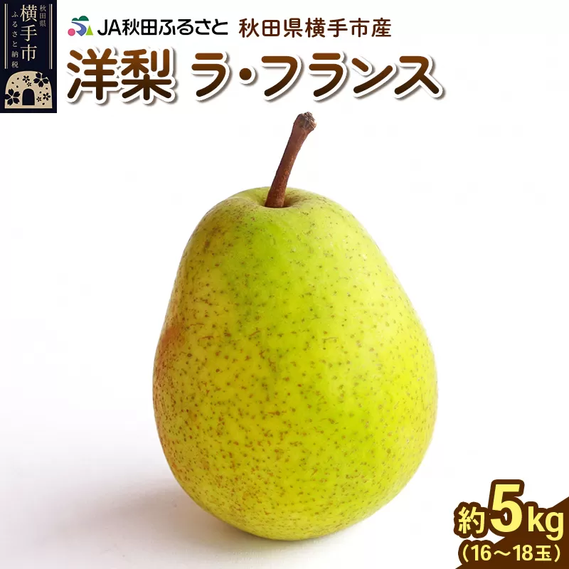 秋田県横手市産 洋ナシ ラ・フランス 特秀 約5kg（16〜18玉） 横手市