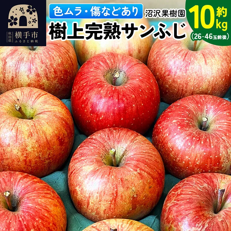 【先行受付】12月上旬より発送 【色ムラ・キズ等あり】樹上完熟サンフジ 約10kg（26〜46玉前後） [先行予約 サンふじ サンフジ 林檎 リンゴ 家庭用 不揃い フルーツ 果物 【りんご】特集] 秋田県横手市