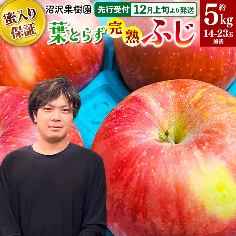 【先行受付】12月上旬より発送 《蜜ライトで蜜入り保証！》葉とらず完熟ふじ 約5kg りんご