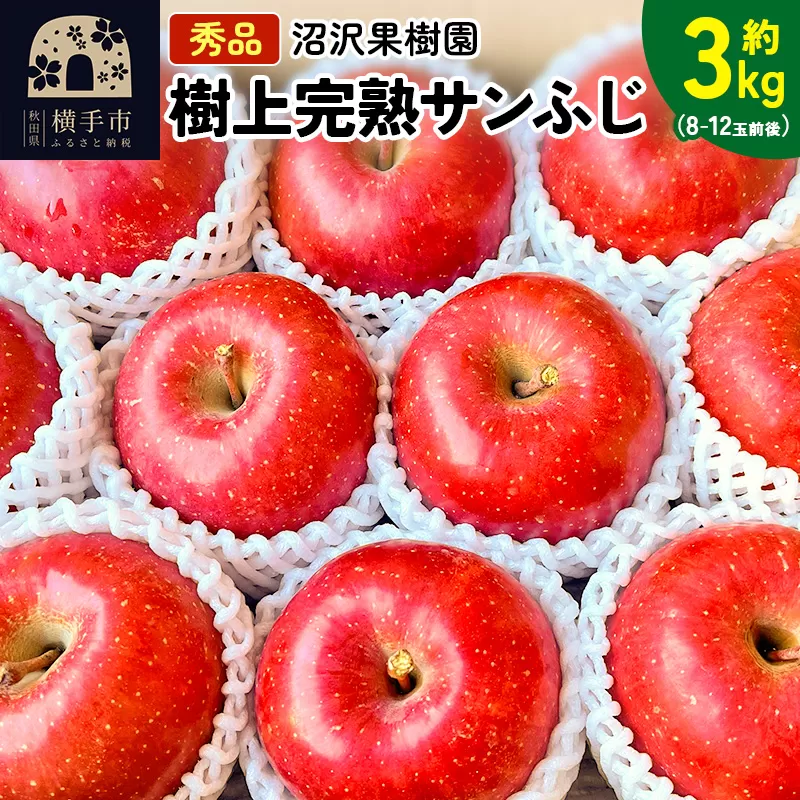 贈り物にもおすすめ！サンフジ 秀品 約3kg（8〜12玉前後） 横手市