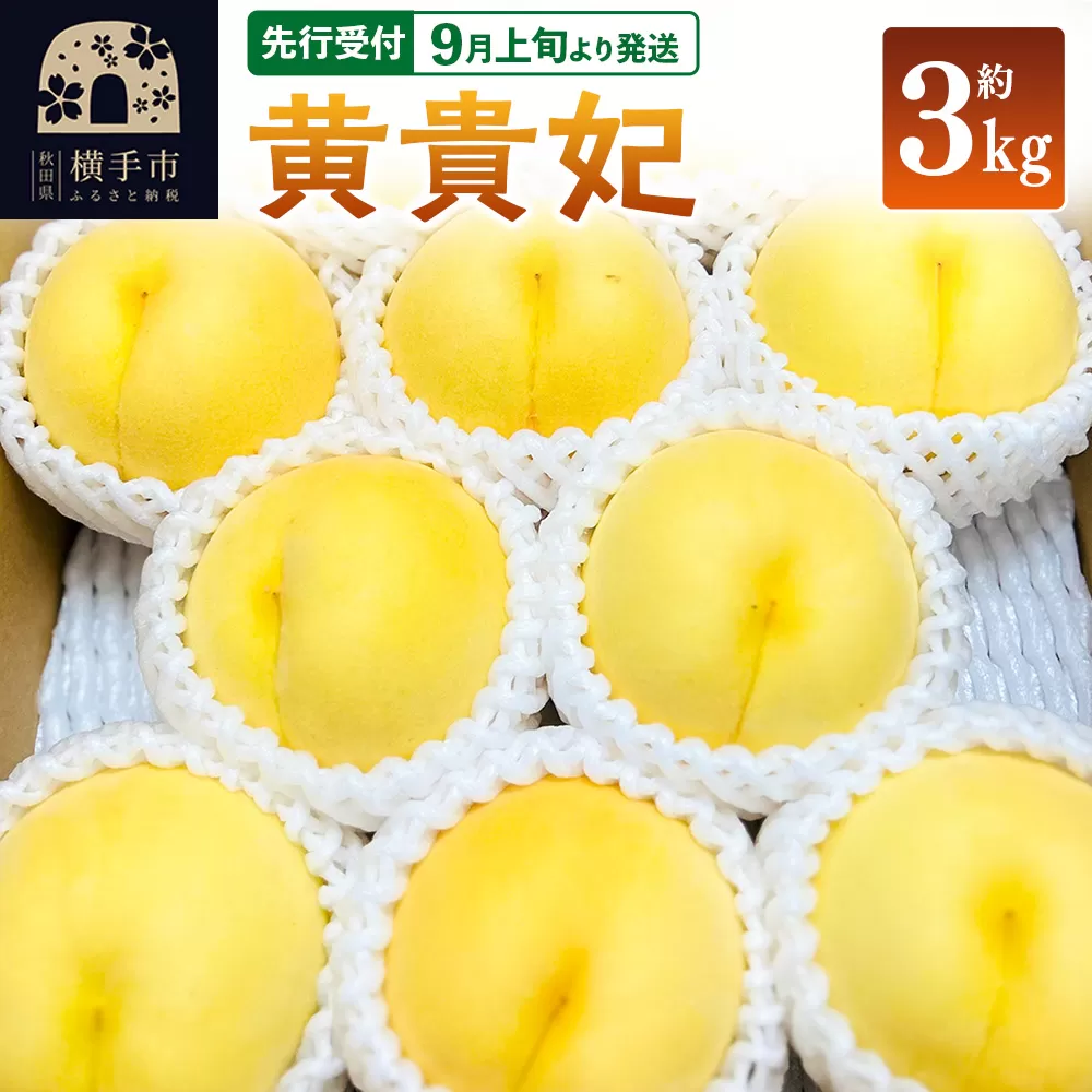 【先行受付】9月上旬より発送 黄貴妃 約3kg モモ もも 黄色桃 横手市