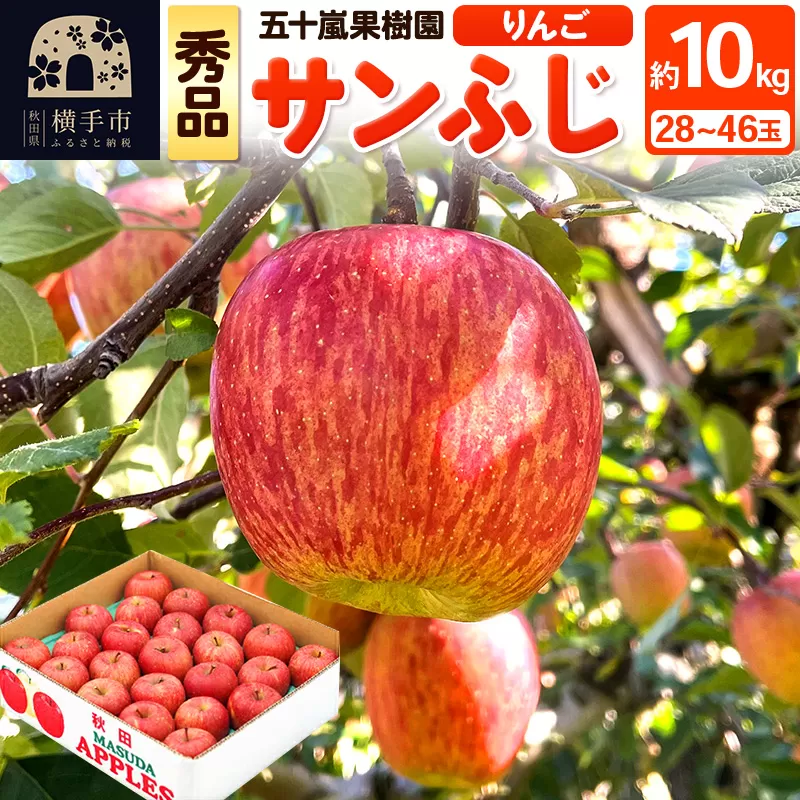 12月中旬より発送 サンふじ 【秀品】約10kg (28〜46玉)りんご 林檎 秋田県横手市