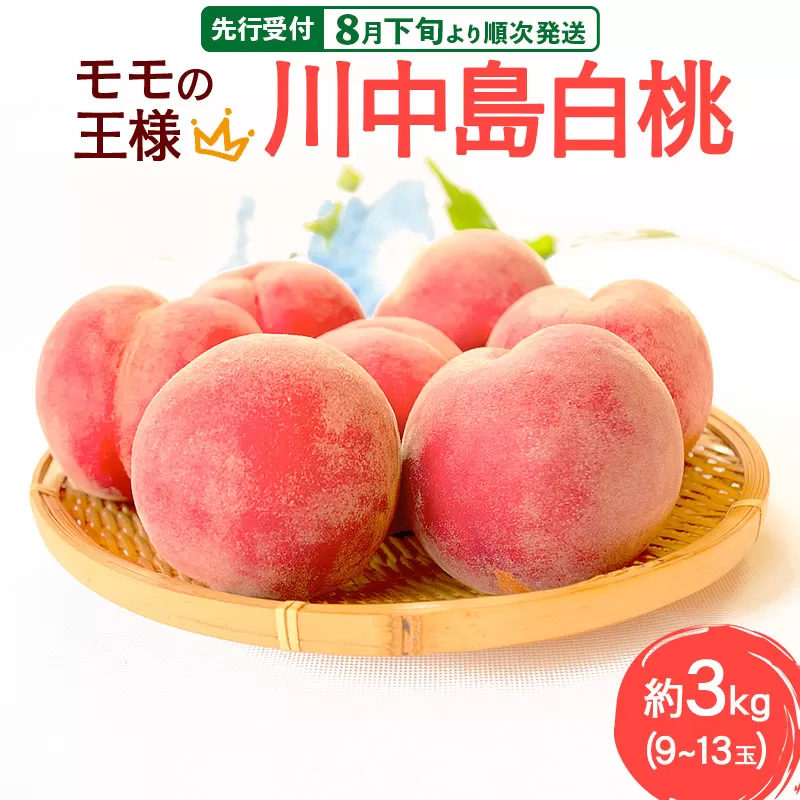 《先行受付！8月下旬より順次発送》モモの王様 川中島白桃 約3kg（9〜13玉前後） 横手市