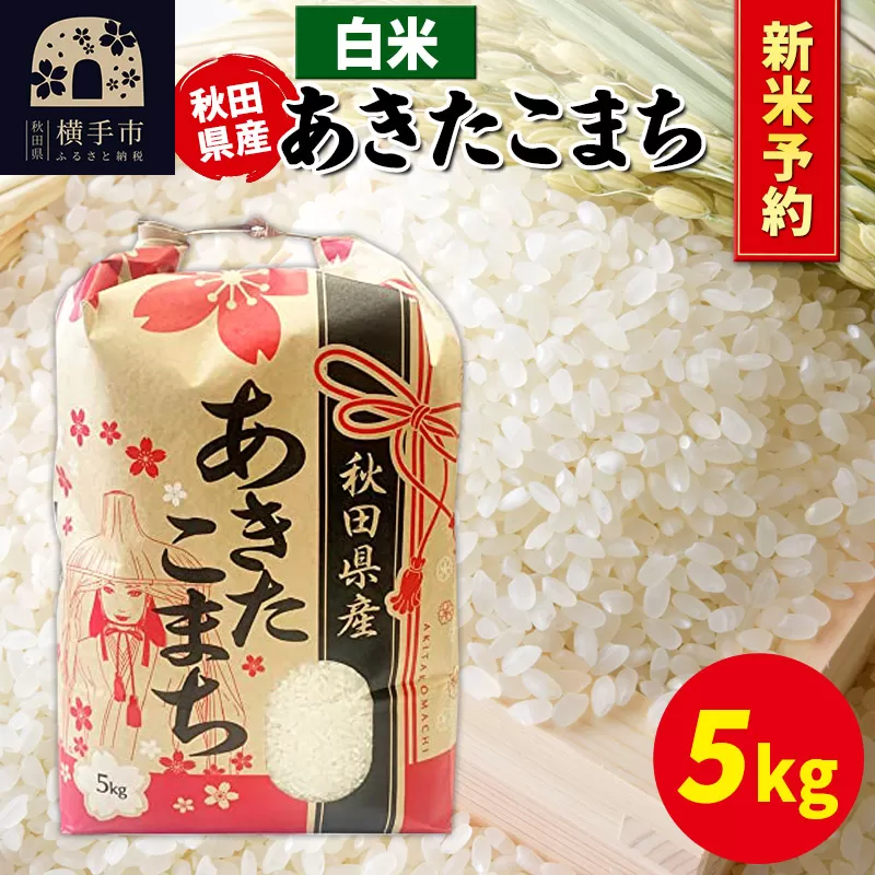 《令和7年産 新米受付》あきたこまち 5kg×1袋【白米】秋田県産 こまちライン 横手市