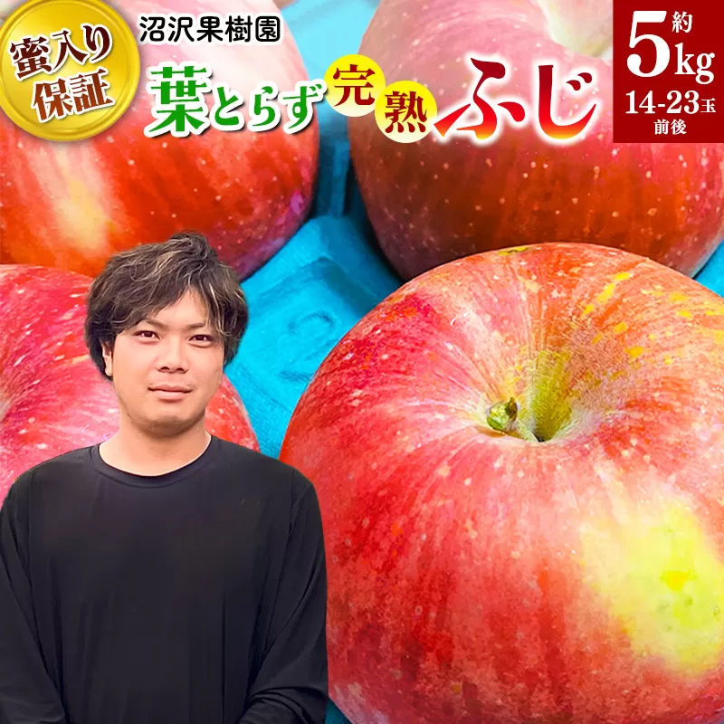 11月下旬より発送 [蜜ライトで蜜入り保証!]葉とらず完熟ふじ 約5kg りんご 秋田県横手市
