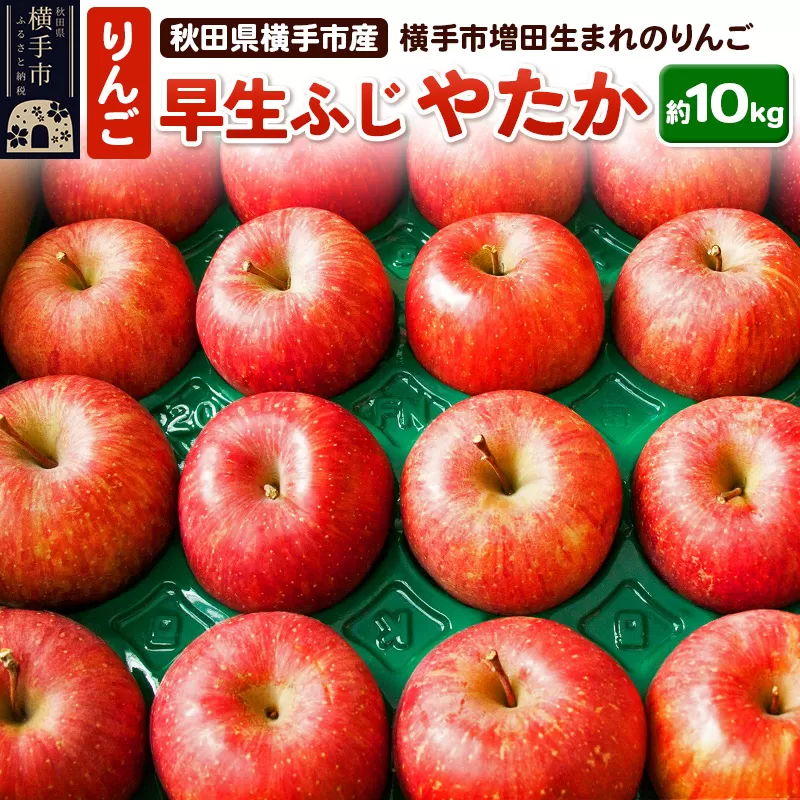横手市増田産りんご 早生ふじ・やたか 約10kg 横手市