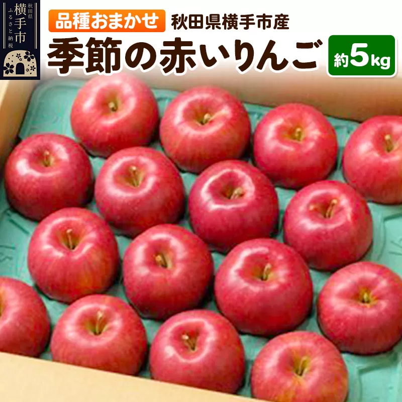 季節の赤いりんご 約5kg 横手市