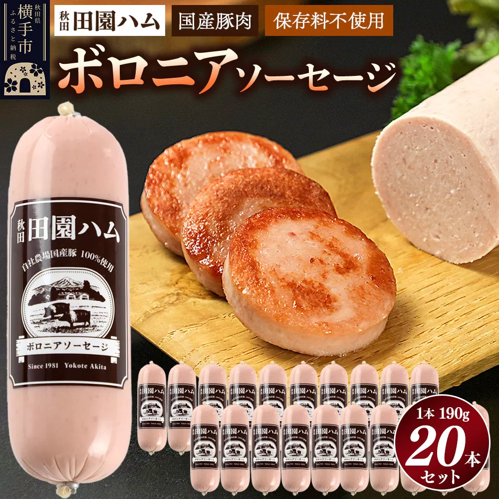 田園ハム ボロニアソーセージ 190g×20本セット