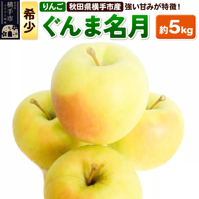 希少品種！秋田県横手産 りんご ぐんま名月 約5kg 横手市