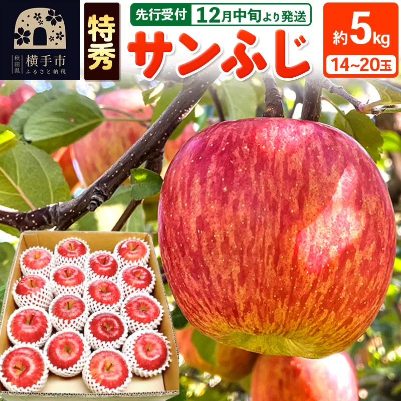 【先行受付】12月中旬より発送 サンふじ 【特秀】 約5kg（14〜20玉）りんご 林檎