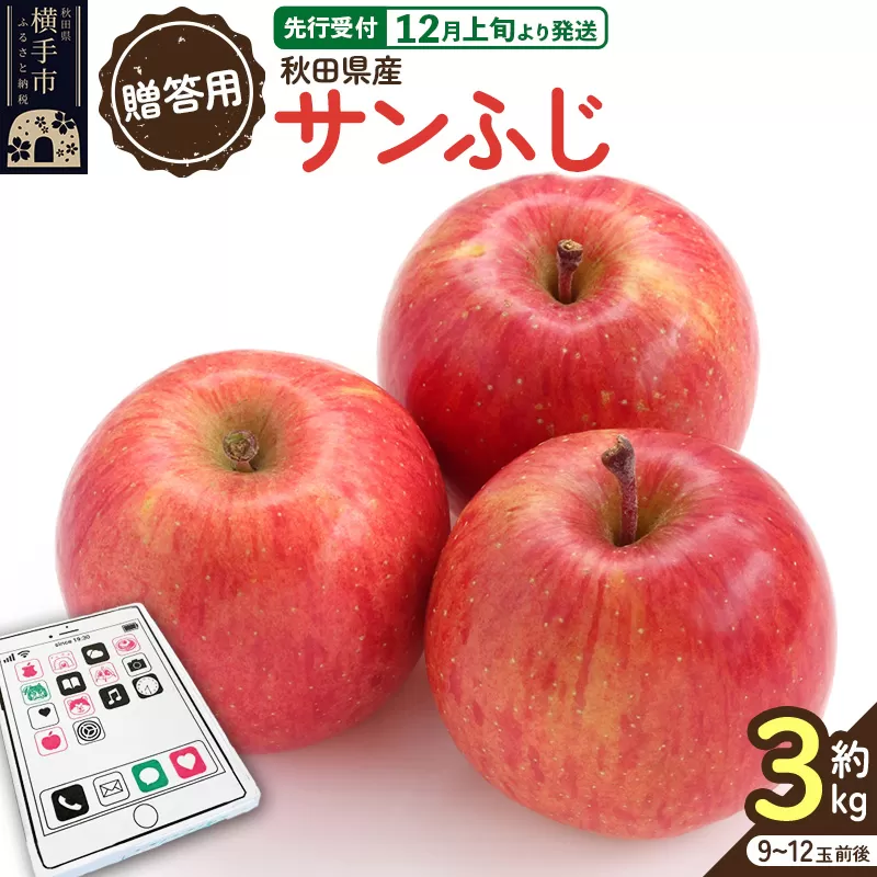 【先行受付】12月上旬より発送【贈答用】秋田県産 サンふじりんご 約3kg(9玉〜12玉前後)