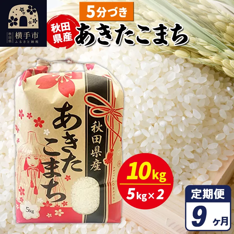 《定期便9ヶ月》あきたこまち 10kg【5分づき】令和7年産 秋田県産 こまちライン 秋田県横手市