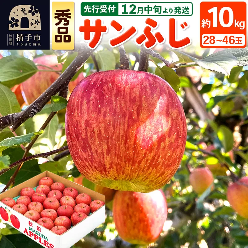 【先行受付】12月中旬より発送 サンふじ 【秀品】約10kg （28〜46玉）りんご 林檎