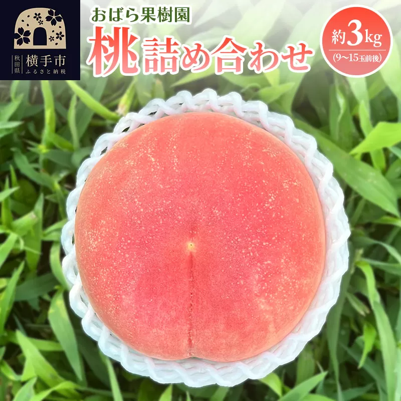横手市産の桃詰め合わせ 約3kg（9個〜15個前後） 横手市