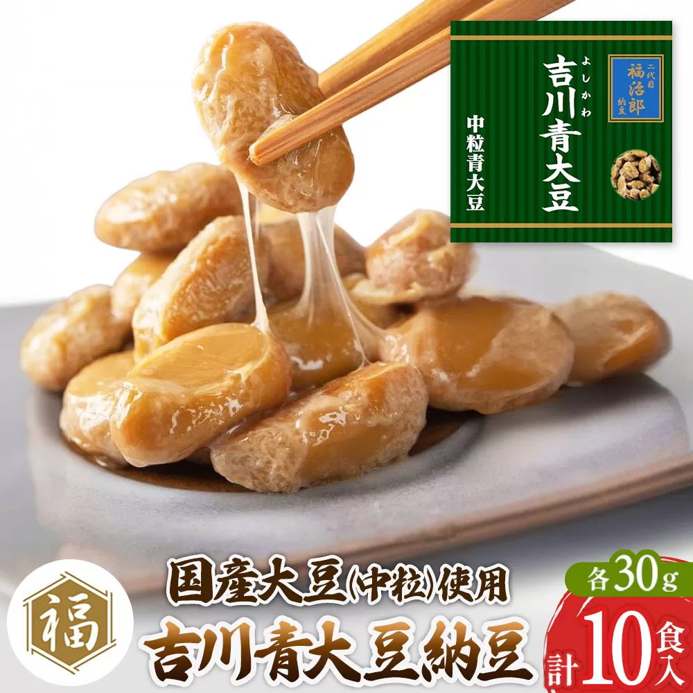 二代目福治郎納豆　吉川青大豆納豆【中粒】5袋（1袋×2食入）計10食 横手市
