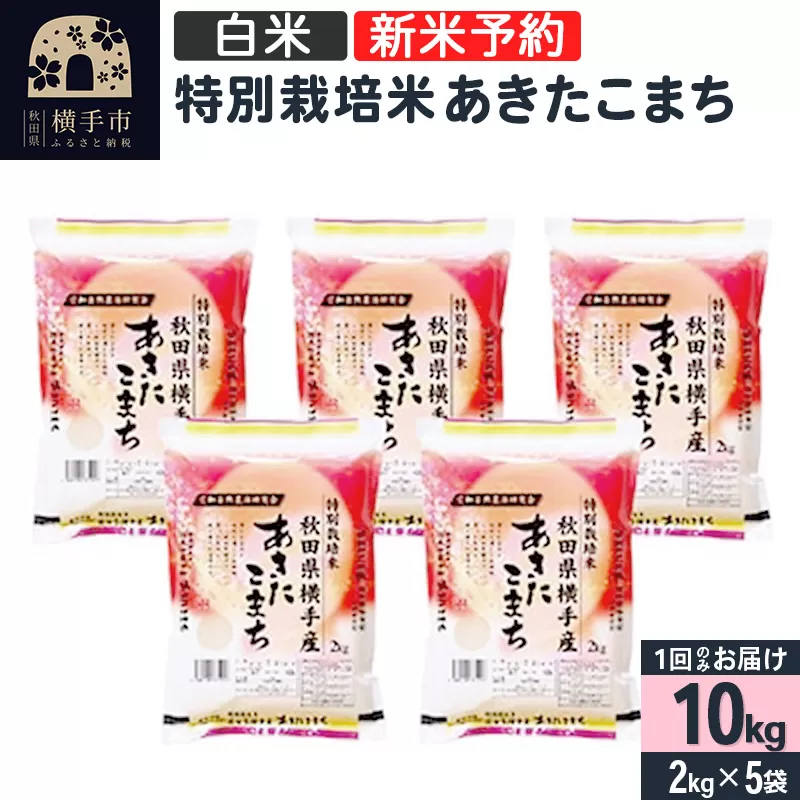【令和6年産新米予約】【白米】特別栽培米あきたこまち 10kg（2kg×5袋）