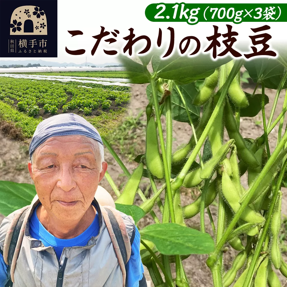 7月下旬より発送 こだわりの枝豆 2.1kg（700g×3袋）秋田県横手市産 横手市