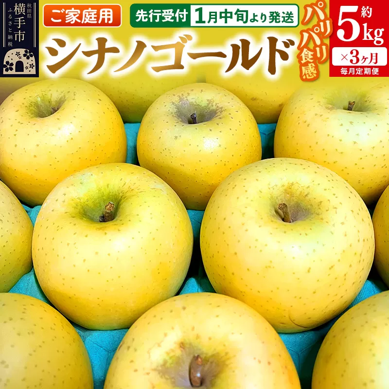 【先行受付】1月中旬より発送 《定期便3ヶ月》パリパリ食感シナノゴールド ご家庭用 約5kg（14〜23玉前後）×3回 計15kg 3か月 3ヵ月 3カ月 3ケ月 横手市