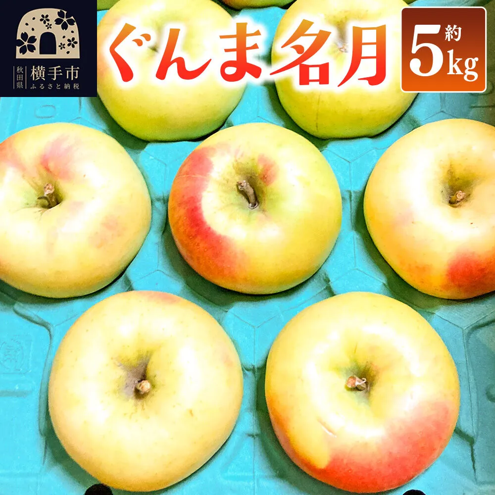 【先行受付】11月上旬より発送 ぐんま名月 ご家庭用 約5kg りんご リンゴ 林檎 [先行予約 りんご 林檎 リンゴ 群馬名月 果物 フルーツ 横手産 秋田産 秋田県産] 秋田県横手市