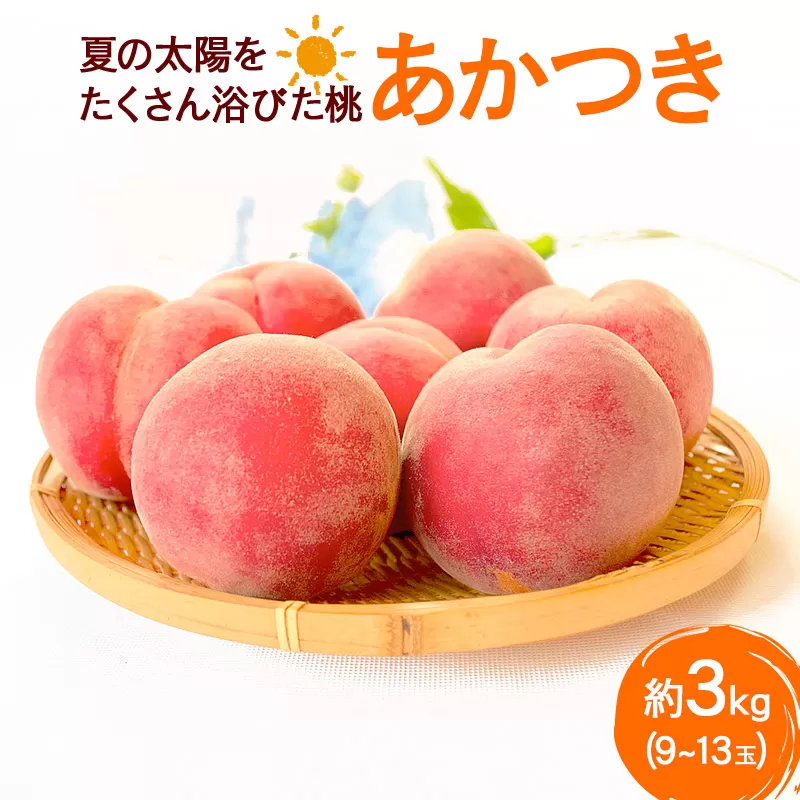 《先行受付！8月上旬より順次発送》夏の太陽をたくさん浴びた桃 あかつき 約3kg（9〜13玉前後）
