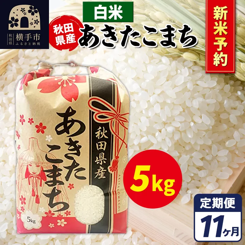 《令和7年産 新米受付》《定期便11ヶ月》あきたこまち 5kg【白米】秋田県産 こまちライン 横手市