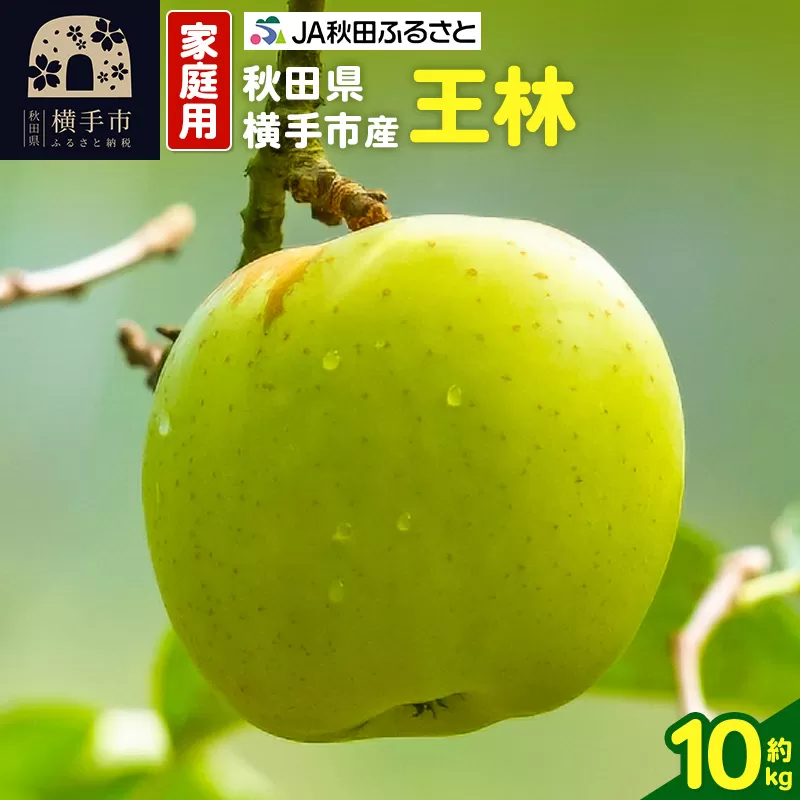 秋田県横手市産 りんご 王林 家庭用 約10kg 横手市