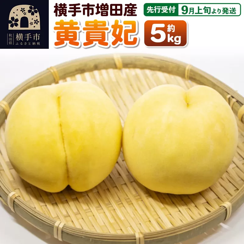 【先行受付】9月上旬より発送 横手市増田産の桃（黄貴妃）約5kg