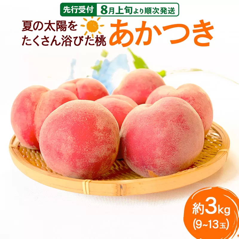 《先行受付！8月上旬より順次発送》夏の太陽をたくさん浴びた桃 あかつき 約3kg（9〜13玉前後）