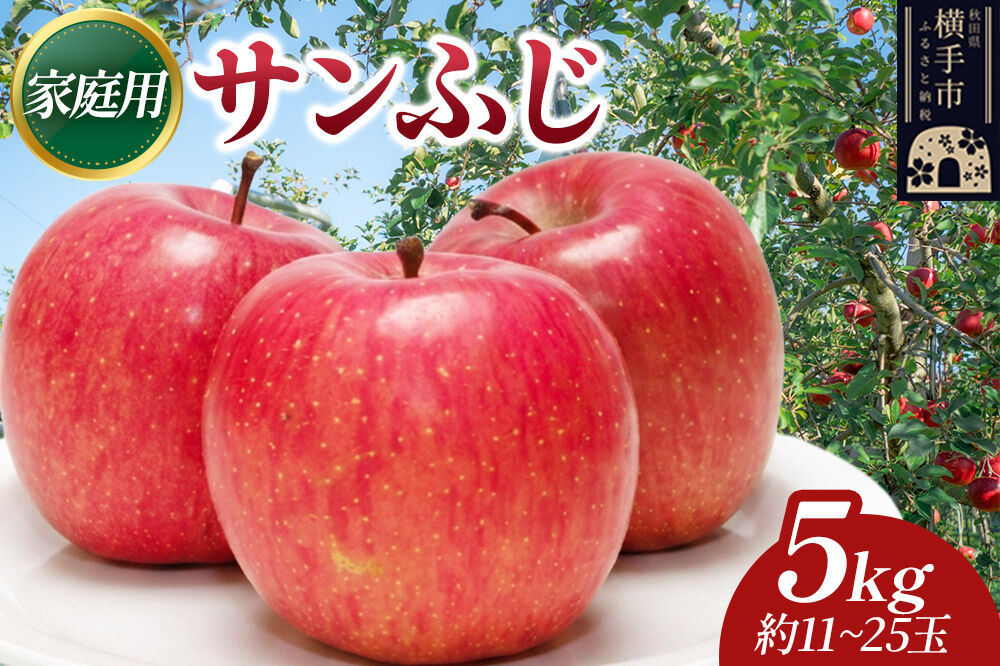 先行受付】12月上旬より発送 樹上完熟りんご（サンふじ）家庭用 約5kg