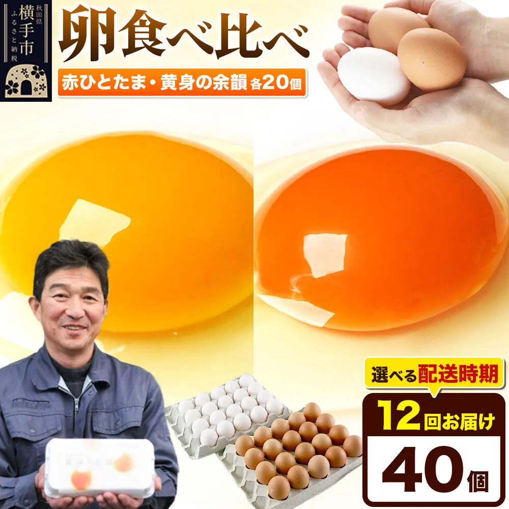 【常温発送】《定期便12ヶ月》赤ひとたま 20個・黄身の余韻 20個 計40個（業務用）【発送時期が選べる】東海林養鶏場 赤ひとたま 黄身の余韻 卵 玉子 たまご タマゴ 12か月 12ヵ月 12カ月 12ケ月 開始時期選べる [東海林養鶏場 赤ひとたま 黄身の余韻 卵 玉子 たまご タマゴ 12か月 12ヵ月 12カ月 12ケ月 開始時期選べる] 秋田県横手市