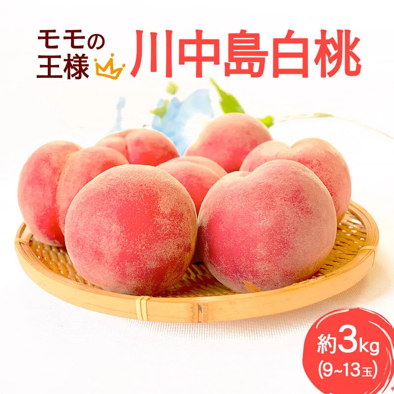 モモの王様 川中島白桃 約3kg（9〜13玉前後） [もも モモ 白桃 はくとう 果物 フルーツ 産地直送 お取り寄せ] 秋田県横手市