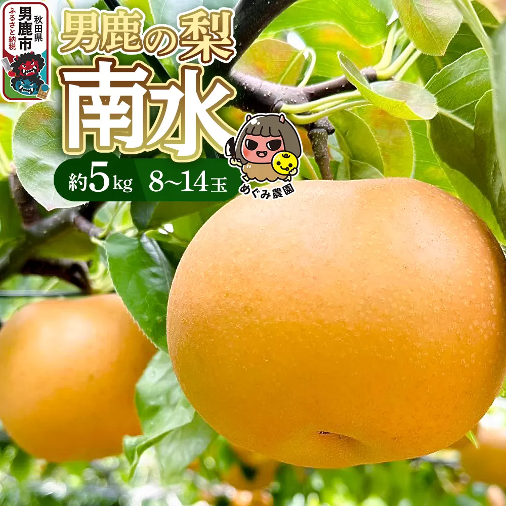 《先行受付》男鹿の梨 南水 約5kg 8〜14玉 梨 秋田県 男鹿市 ＜めぐみ農園＞ 2026年9月下旬より発送 秋田県男鹿市