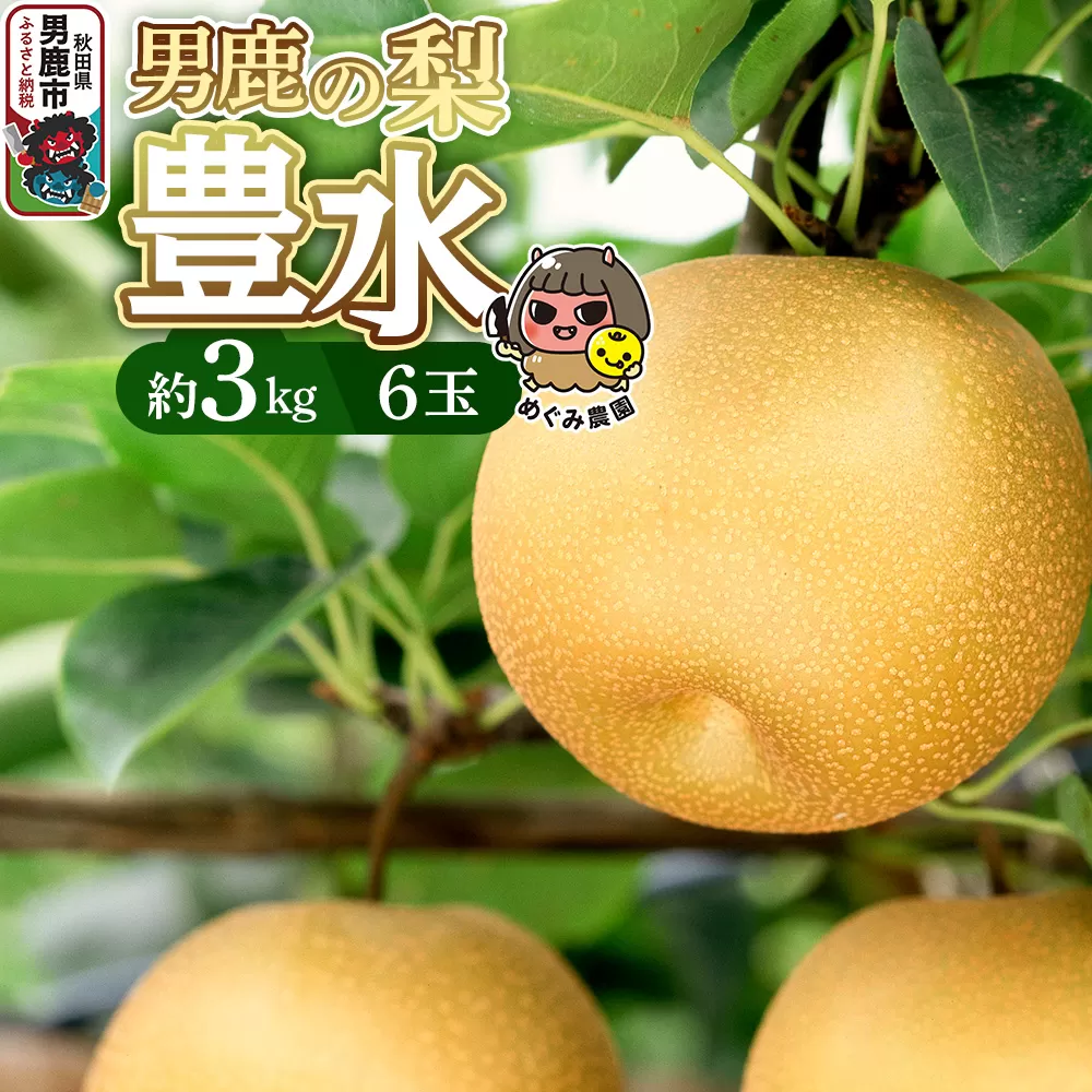 先行受付 男鹿の梨 豊水 約3kg 6玉 梨 秋田県 男鹿市 ＜めぐみ農園＞