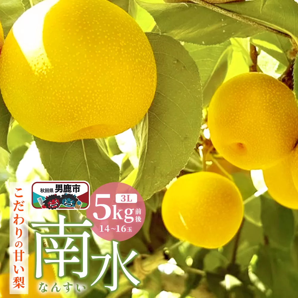 【先行受付】10月中旬〜下旬発送 南水 梨 こだわりの甘い梨 5kg前後 3L 14〜16玉 産地直送 旬の果物 ギフト 秋田県 男鹿市 [日本梨 梨 なし ナシ 南水 なんすい ナンスイ] 秋田県男鹿市
